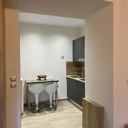 11 Luxury Apartments Metsovo Exterior photo