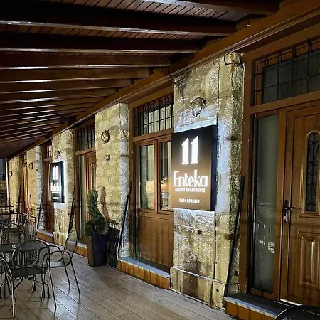 11 Luxury Apartments Metsovo Exterior photo