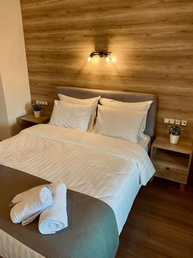 11 Luxury Apartment Metsovo